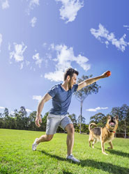 registration-and-microchipping