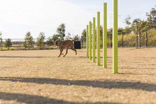 pebbles-park-4