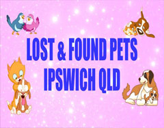 aus-day-awards-lost-pets-ipswich