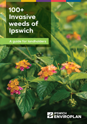 Weeds of Ipswich