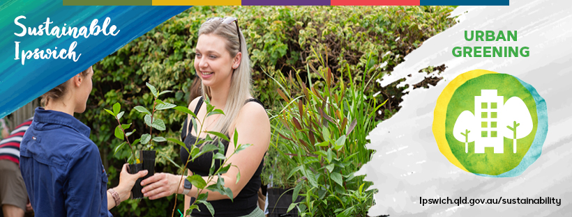 2022 Sustainable Ipswich garden