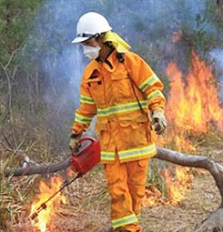 Drip Torch Undertaking Burn Off