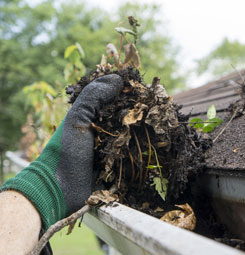 Cleaning Gutters