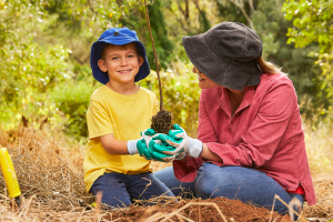 Educators Link Community Plantings educators-link-community-plantings