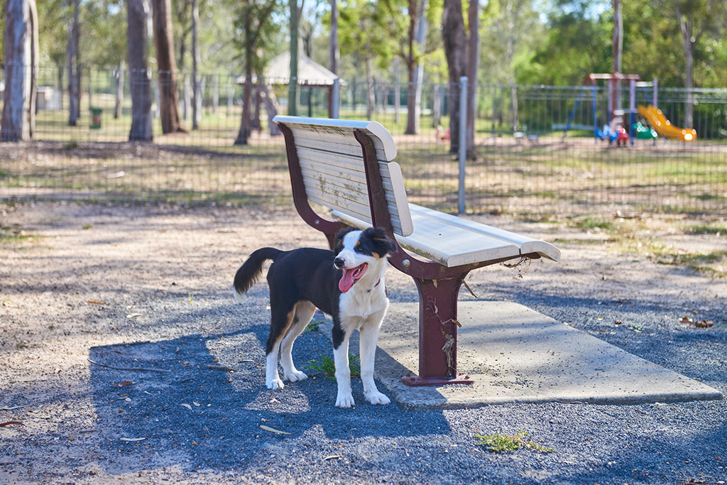 banjo-paterson-park-11