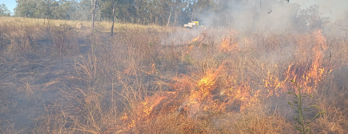 Fire on ground in paddock