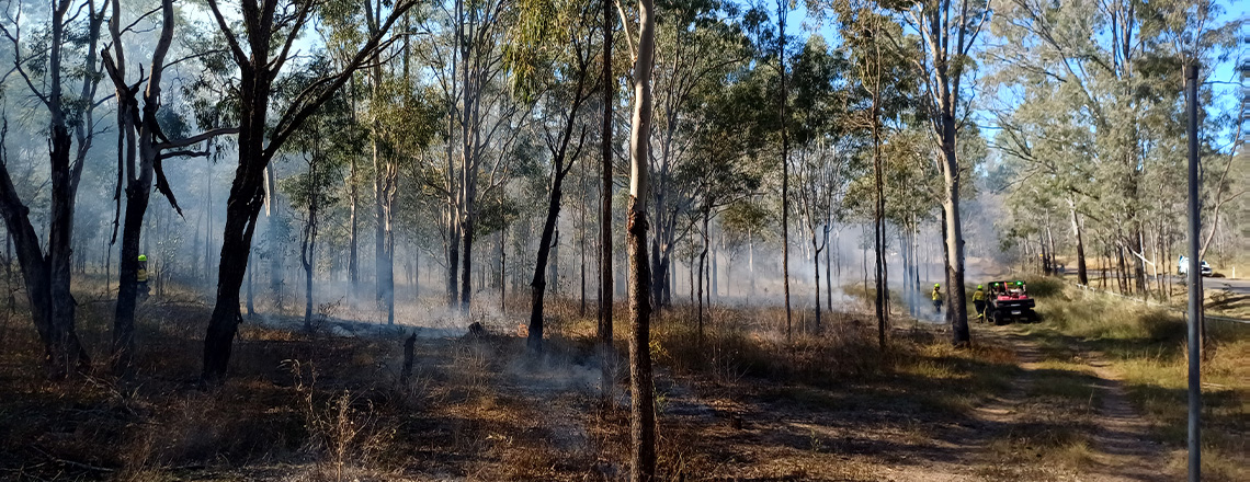 Smoke among trees in bushland