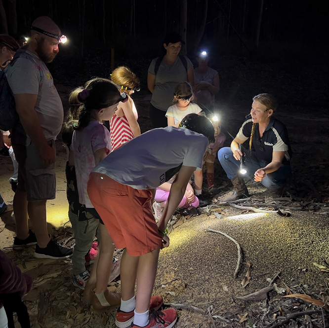 Exciting school holiday guided tours with a difference!