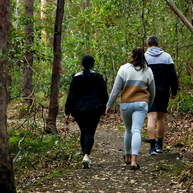 Habitat and History Guided Walk