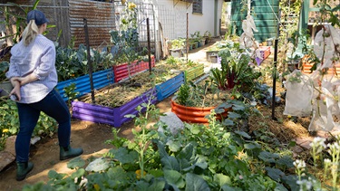 Woman walks through colourful backyard vegetable garden