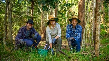 Bushcare volunteer working bee