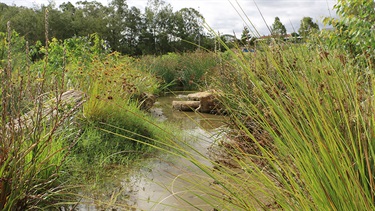 Natural creek