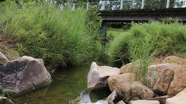 Creek with bridge