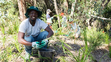 Man at planting event