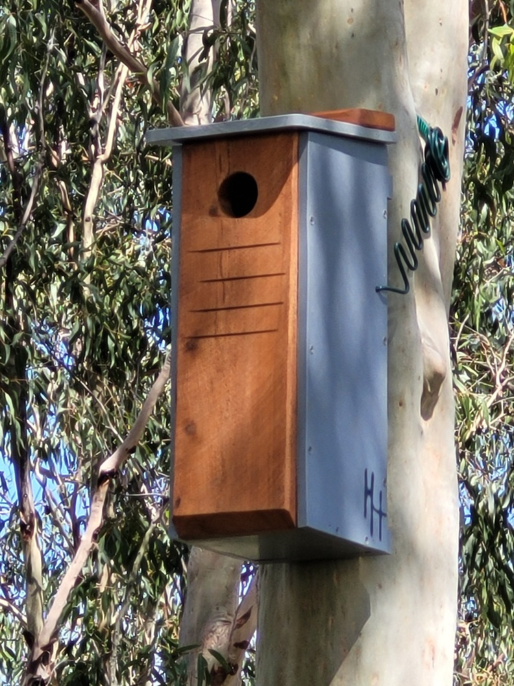 Nest boxes
