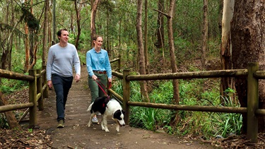 A couple walking a dog in nature