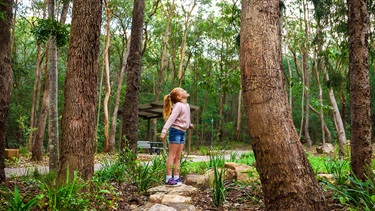 Girl looking up at large tree