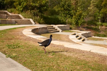 NFG_9607.jpg
