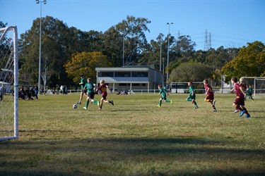 NFG_0757.jpg