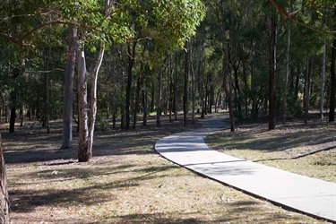 NFG_1111.jpg
