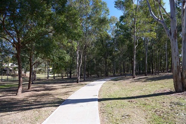NFG_1117.jpg