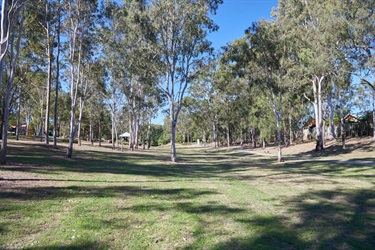NFG_1119.jpg