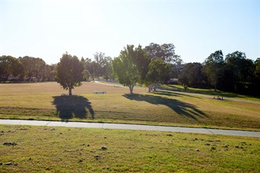 NFG_9455.jpg