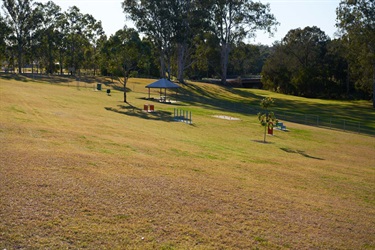 NFG_9458.jpg