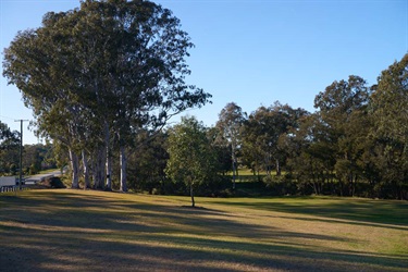 NFG_9461.jpg
