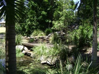Kholo-Gardens_Waterfall-1.jpg