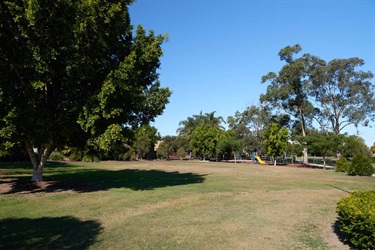 NFG_1065.jpg