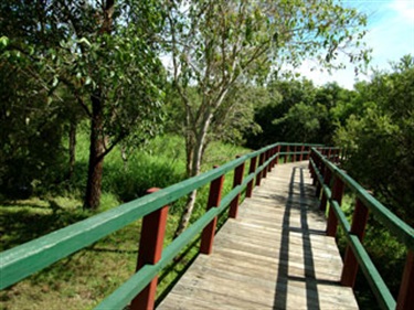 Pan-Pacific-Park-7.jpg