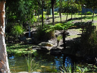 springlakes-1.jpg