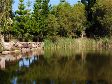 springlakes-3.jpg