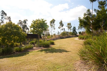 NFG_9559.jpg