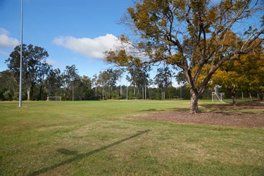 NFG_9539.jpg