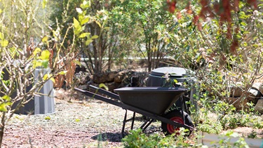 Wheelbarrow and compost bins in garden with lots of plants