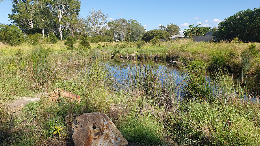 Creek naturalisation project