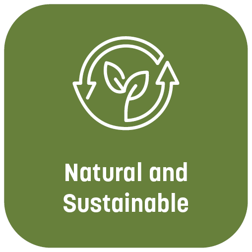 CorporatePlan_Icon_3.png