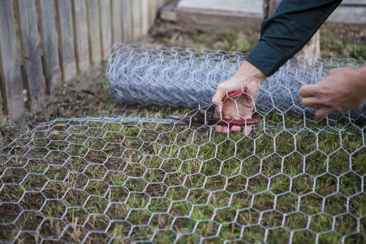 how do i keep my dog from climbing the fence