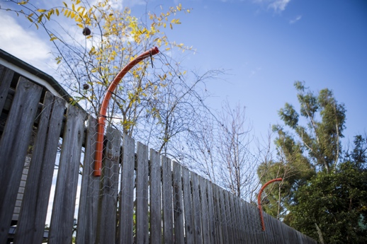 how do i keep my dog from climbing the fence